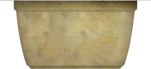 Nutrish Rachael Ray Grain Free Wet Cat Food Ocean Fish & Chicken Catch-iatore, 2.8 oz. Cup, 24 Count