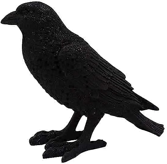 Comfy Hour Fairyland Collection 9-inch Dark Fairy Witch on Magic Broom with Black Cat Figure and 7-inch Black Feather Standing Crow Bird Halloween Decorative Figurine, Polyresin, Bundle of 2