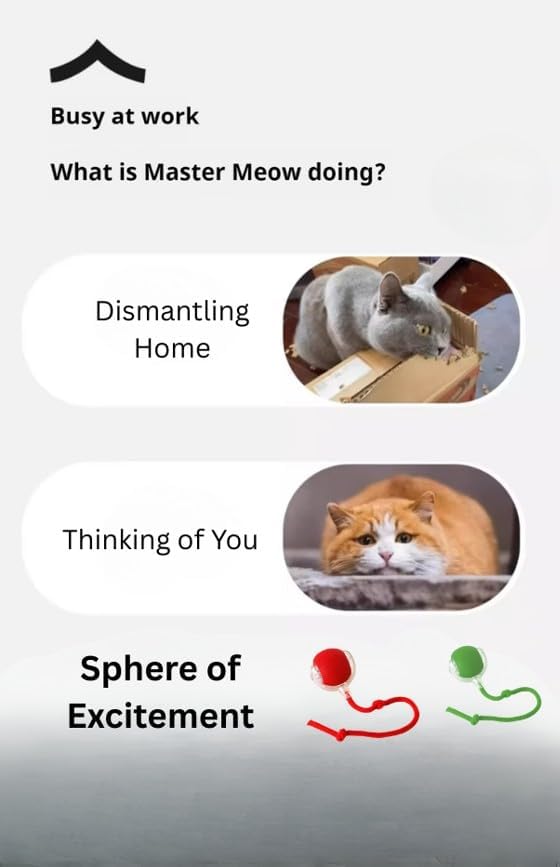 Indoor Cat Interactive Toy 360-degree Automatic Rolling Toy with Floor Flashing and Random Rolling for Cats and Dogs. Continuous Excitement, Fun and Stimulation for Your Cats and Dogs (Green)