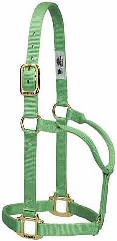 Weaver Equine Nylon Horse Halter, Triple-Ply Cheek Design, Original Non Adjustable Halters for Horses, Equine Tack,Average Size, Black