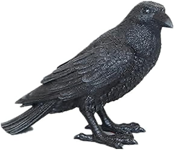 Comfy Hour Fairyland Collection 9-inch Dark Fairy Witch on Magic Broom with Black Cat Figure and 7-inch Black Feather Standing Crow Bird Halloween Decorative Figurine, Polyresin, Bundle of 2