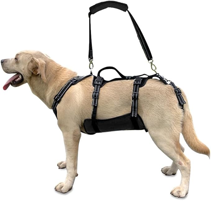 Coodeo Dog Lift Harness, Support & Recovery Sling, Pet Rehabilitation Lifts Vest Adjustable Breathable Straps for Old, Disabled, Joint Injuries, Arthritis, Paralysis Dogs Walk (Black,L)