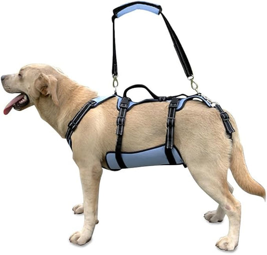 Coodeo Dog Lift Harness, Full Body Support & Recovery Sling, Pet Rehabilitation Lifts Vest for Old Dog with Arthritis Walk(Bule,L)