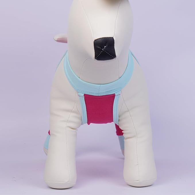 ROZKITCH Dog Surgery Leg Sleeve Rear Legs, Male Female Pet Prevent Licking Wound Elbow Knee Protector, Dog Recovery Suit Cone Collar Alternative Pants Shirt for Wound Heal Wrap Rosered XL