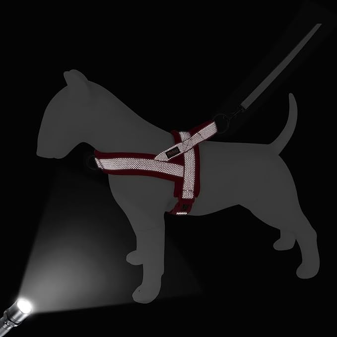 Didog No Pull Dog Harness with Breathable Mesh Padded, Full Reflective & Quick Fit Adjustable Vest Harness, Easy for Training Walking for Small & Medium and Large Dogs (Red, S:Chest 18-22")