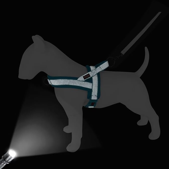 Didog No Pull Dog Harness with Breathable Mesh Padded, Full Reflective & Quick Fit Adjustable Vest Harness, Easy for Training Walking for Small & Medium and Large Dogs (Blue, S:Chest 18-22")