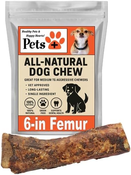Pets Plus Premium Dog Treat – Beef Femur Bone, 1 Count | All-Natural, Long-Lasting Chew for Medium & Large Dogs, Supports Dental Health & Boredom Relief