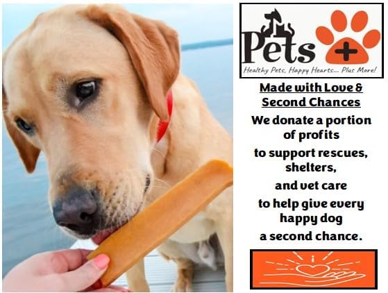 Pets Plus Himalayan Yak Chews for Dogs – 6 Inch, Medium Size, 8oz, 3-Pack – Long-Lasting Natural Dog Chews, Grain-Free, Odorless, High Protein Treats