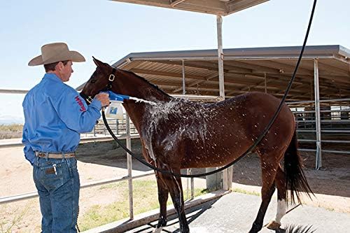 Weaver Leather eZall Complete Starter Bath Kit