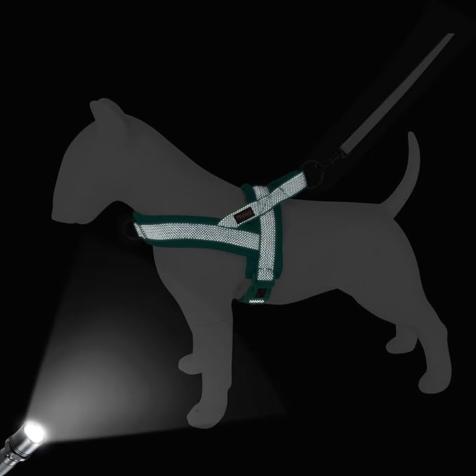 Didog No Pull Dog Harness with Breathable Mesh Padded, Full Reflective & Quick Fit Adjustable Vest Harness, Easy for Training Walking for Small & Medium and Large Dogs (Green, S:Chest 18-22")