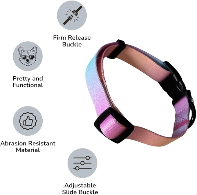 HILLBERRY Dog Collar and Leash Set Adjustable Rainbow Pink Purple Blue Puppy Pet Essentials and Supplies - Size L