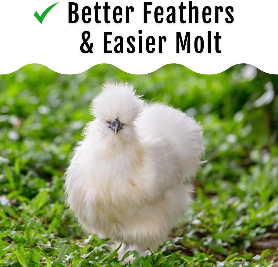 Grub Fuel Black Soldier Fly Larvae for Chickens - Nutrient-Packed BSFL, Sustainably Sourced Snack for Poultry, Rich in Protein, Calcium, Fiber, Essential Fatty Acids, USA Grown (1LB)