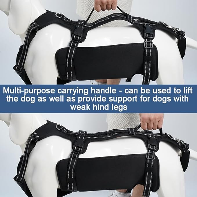 Coodeo Dog Lift Harness, Support & Recovery Sling, Pet Rehabilitation Lifts Vest Adjustable Breathable Straps for Old, Disabled, Joint Injuries, Arthritis, Paralysis Dogs Walk (Black,XL)
