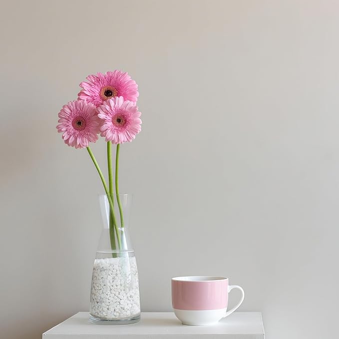 Mr. Fireglass 5 lbs White Pebbles,1/5" Natural Decorative River Rocks Aquarium Gravel for Indoor Plants, Vases, Succulents and Outdoor Garden Landscaping