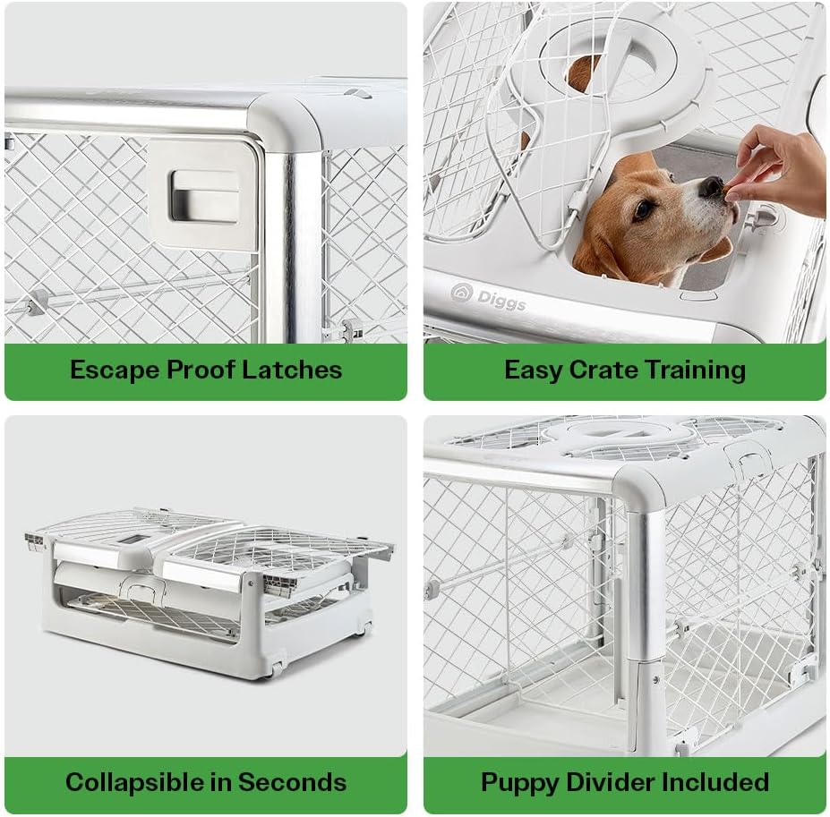 DIGGS Revol Collapsible Dog Crate with Wheels - Premium Portable Dog Crate - Safe, Stylish, and Convenient Indoor Kennel (Ash, Medium)