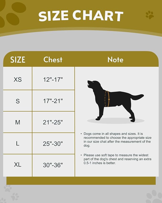 MIDOG No-Pull Dog Harness | Adjustable & Reflective Pet Harness Leash Set for Small Medium Large Dogs Walking, Training| No Choke, Front Clip, Soft Padded Vest with Easy Control Handle - Purple, XS