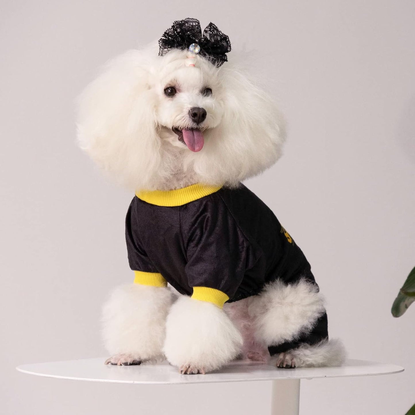 CuteBone Dog Halloween Pajamas Puppy Onesies Small Dogs Soft Pjs Coat Cat Apparel Comfy Pet Christmas Clothes Outfit Doggie Bodysuit P264L