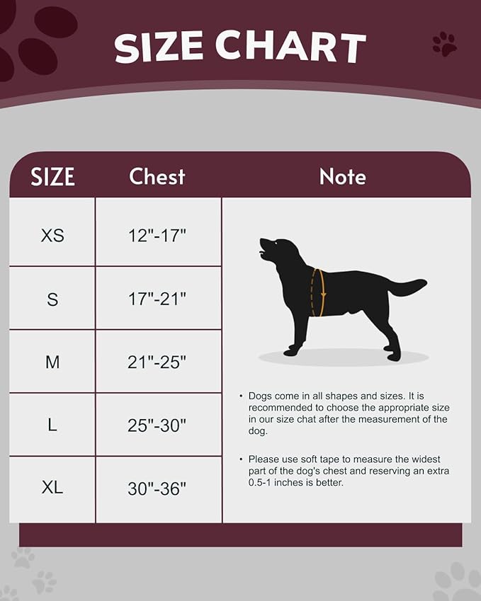 MIDOG No-Pull Dog Harness | Adjustable & Reflective Pet Harness Leash Set for Small Medium Large Dogs Walking, Training| No Choke, Front Clip, Soft Padded Vest with Easy Control Handle - Pink, XL