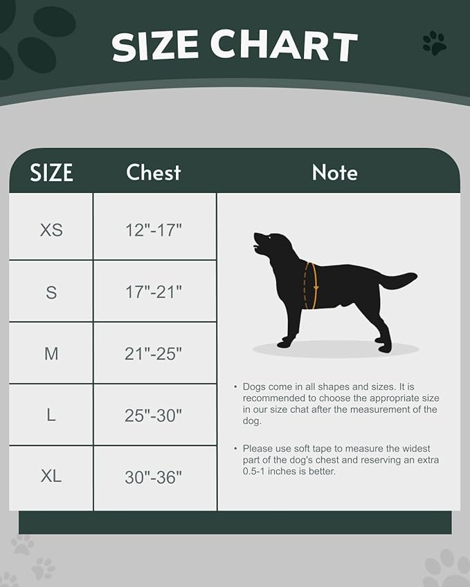 MIDOG No-Pull Dog Harness | Adjustable & Reflective Pet Harness Leash Set for Small Medium Large Dogs Walking, Training| No Choke, Front Clip, Soft Padded Vest with Easy Control Handle - Green, XS