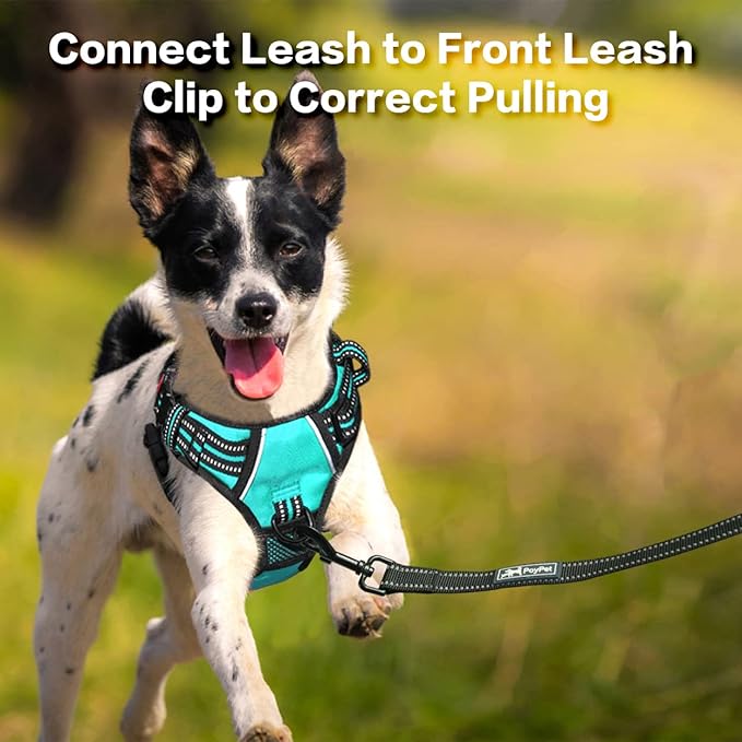 PoyPet No Pull Dog Harness, No Choke Front Clip Reflective Dog Vest with Soft Padded Vertical Handle, 3 Leash Attachments for Small Medium Large Dogs (Mint Blue,M)