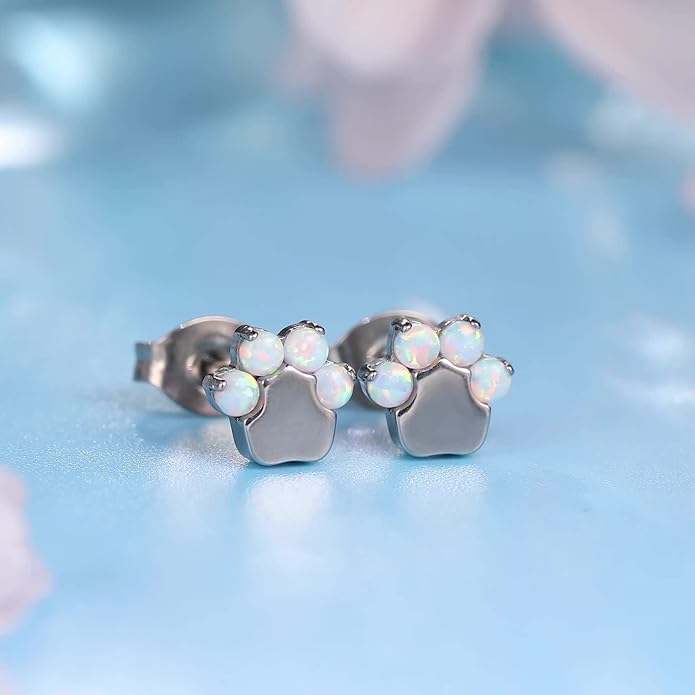 Limerencia G23 Pure Titanium Hypoallergenic Earrings | F136 Implant Grade Titanium Jewelry for Sensitive Ears