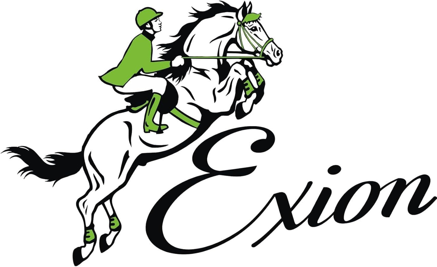 Exion Pre-Stretched Leather Stirrup Leathers for English Saddles | Premium Vegetable-Tanned Non-Stretch Stirrups for Jumping, Dressage & Schooling | 18-Hole Numbered Adjustment & SS Buckles