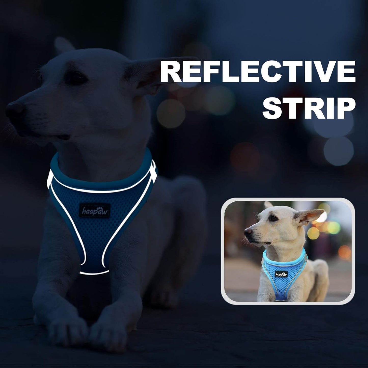 haapaw Dog Harness with Leash Set, No Pull Adjustable Reflective Step-in Puppy Harness with Thickened Padded Vest for Extra-Small/Small Medium Dogs