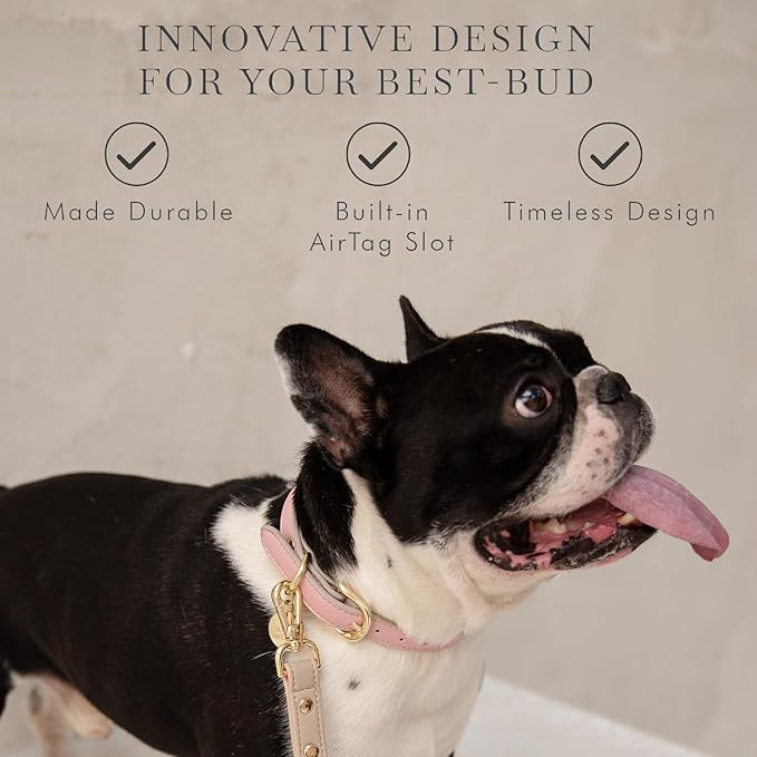 Cupertino Dog Collars, Harnesses & Leashes Made from Vegan Leather with Dog Tracker Device Holder Adjustable Dog Collar (Extra Small (Neck: 9x12), Pink)