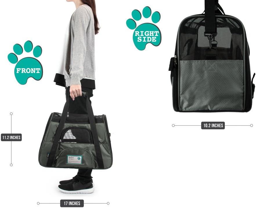 PetAmi Airline Approved Pet Carrier for Cat, Soft Sided Dog Carrier for Small Dogs, Cat Travel Supplies Accessories Indoor Cats, Ventilated Pet Carrying Bag Medium Large Kitten Puppy, Small Dark Gray