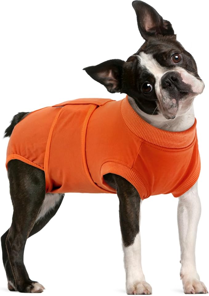 FUAMEY Dog Recovery Suit Male,Dogs Surgery Neuter Suits Puppy Spay Shirts for Female Protect Dog's Skin Anti Licking Abdominal Wounds Doggie Onesie Pet Bodysuit Alternative to Cone Orange M