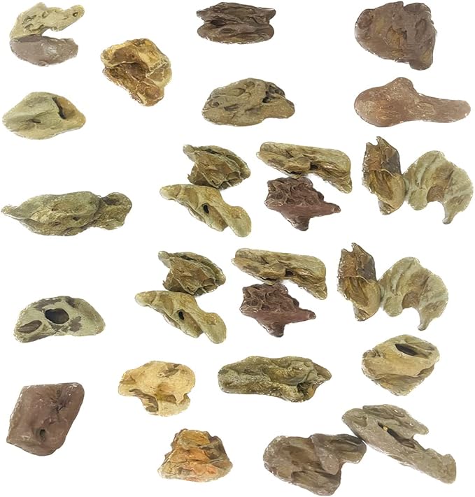 Natural Stone Aquarium Decoration 4.4 lb Dragon Stone Aquascaping Rock Mixed Sizes for Micro Landscape Fish Tank Decor