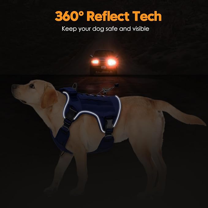 Heavy-Duty Tactical Dog Harness for Large Dogs, No Pull Adjustable Reflective Pet Vest with Molle System, K9 Military-Grade Control for Service Training, Outdoor & 10+ Breeds, Dazzling Blue, Large