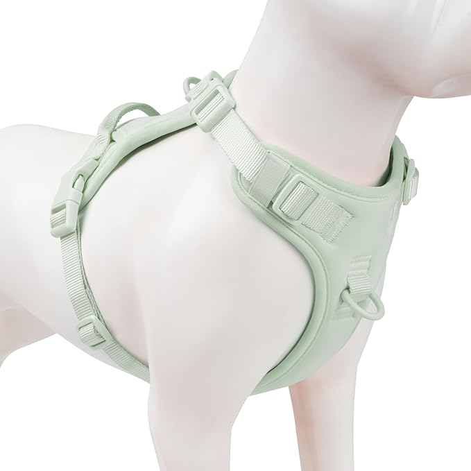 No Pull Dog Harness, Puppy Vest with Front Clip for Small Medium Large Sized Dog(Light Green,XS)