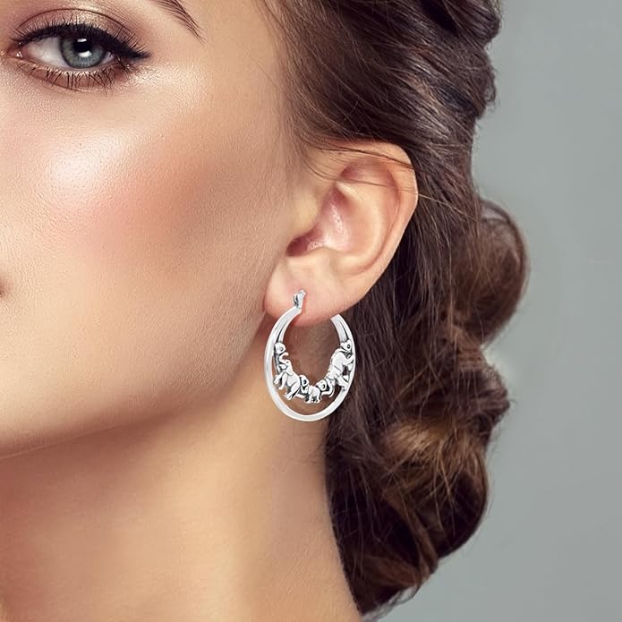 NARMO 925 Sterling Silver Hoop Earrings for Women Hypoallergenic Lightweight Simple Huggie Hoop Earrings Twisted Hoop Earrings Colorful Cubic Zirconia Hoop Earrings Rainbow Hoop Earrings