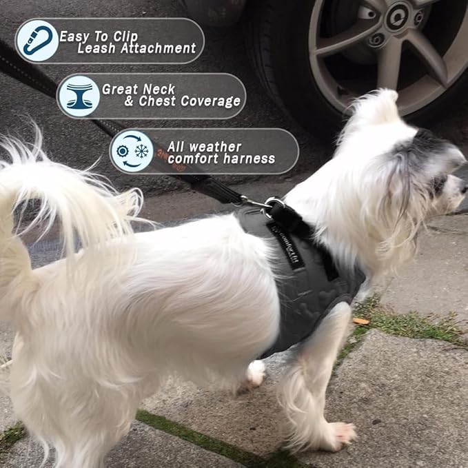 Comfort Fit Step-in Dog Harness for Small Medium Dogs – XS Black – No Pull, Soft Padded, Reflective Vest – Escape Proof Adjustable Puppy Harness for Walking, Training, Service & Everyday Use