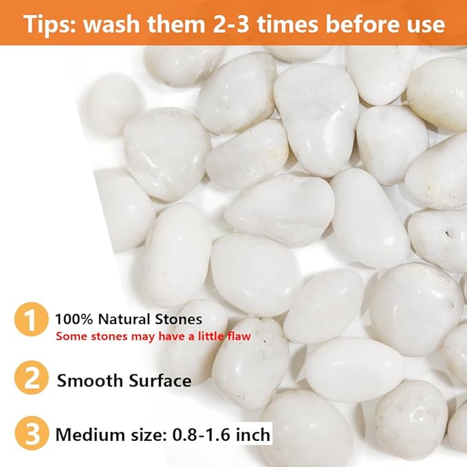 HappyFiller Natural Decorative White Pebbles Polished Rocks Stones for Aquarium Gravel,Fish Turtle Tank,Outdoor Indoor Succulents Plants Top Dressing,Graden Landscaping,2 LB