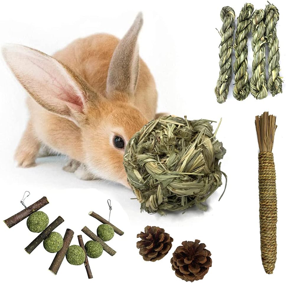 Hamiledyi Rabbit Seagrass Mat Bunny Chew Toys for Teeth Hanging Activity Mat Rabbit Enrichment Activity Mat Small Animal Toys for Hamster Guinea Pigs Gerbil Birds