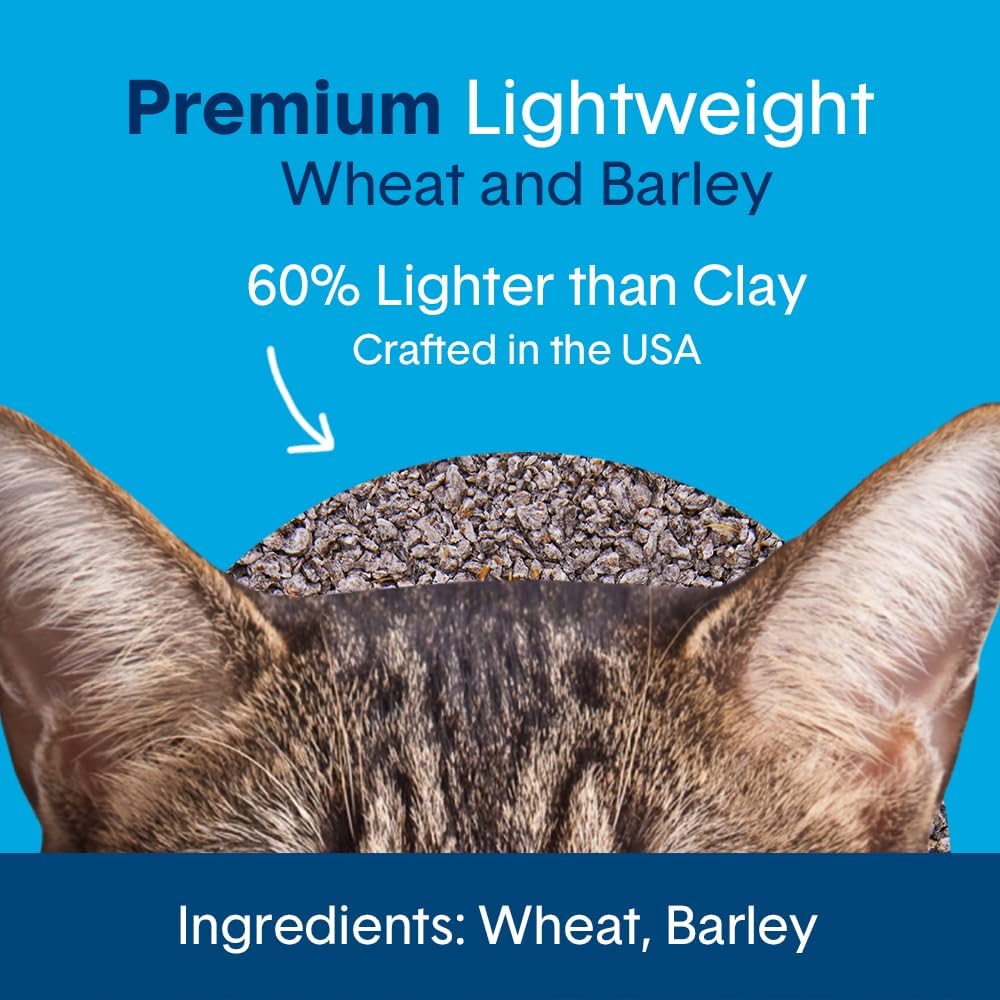 Boxie® Unscented 30 Day Natural Odor Control Cat Litter, 11.5lb Lightweight Plant Based Kitty Litter