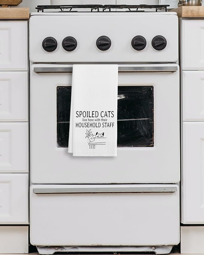 QIYUHOY Spolled Cats Kitchen Towels and Dishcloths,Hand Towels for Kitchen,Cat Theme Dish Towels Gifts for Cat Lovers,24x16 Inch