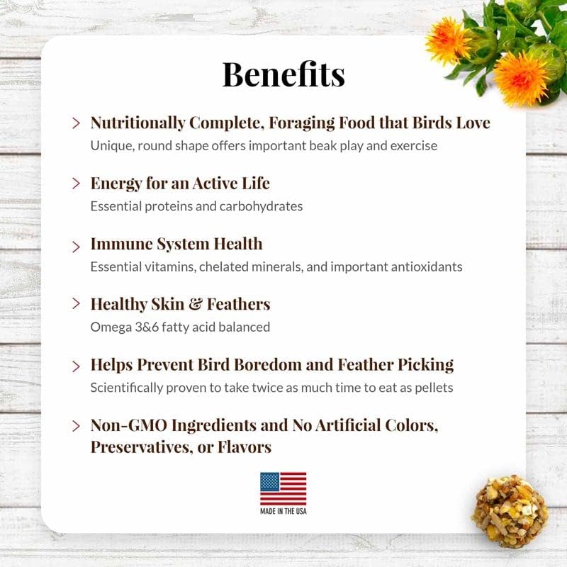 LAFEBER'S Classic Nutri-Berries Pet Bird Food, Made with Non-GMO and Human-Grade Ingredients, for Macaws and Cockatoos (10 oz Pack of 2)