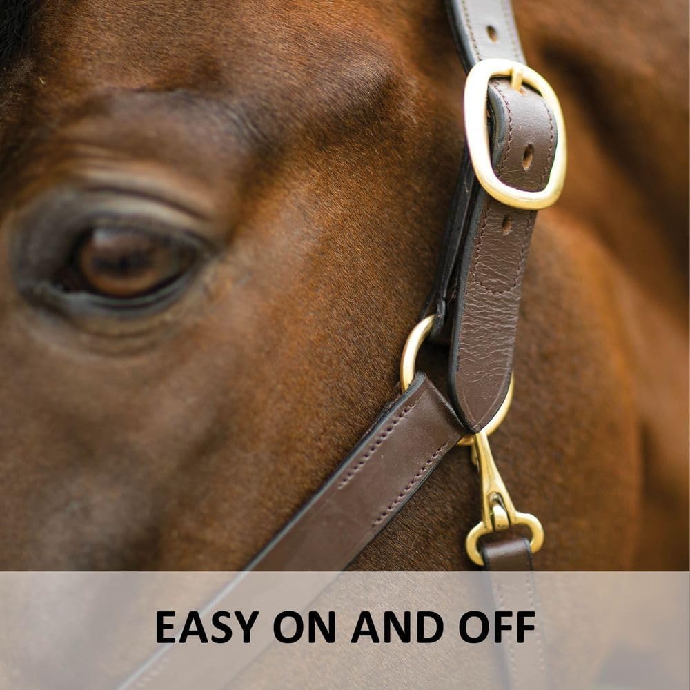 Dura-Tech Premier Lancaster Leather Halter for Horses | Simple Economy Leather Halter with Adjustable Fit & Solid Brass Hardware