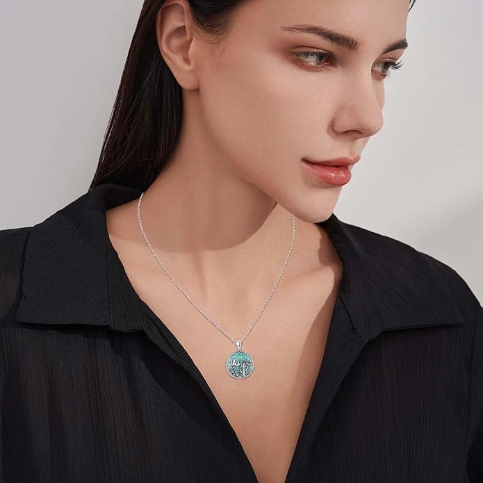 Midir&Etain Western Necklace 925 Sterling Silver Turquoise Pendant Cow Skull/Hat/Tag/Cactus Cowgirl Country Jewelry for Women Men