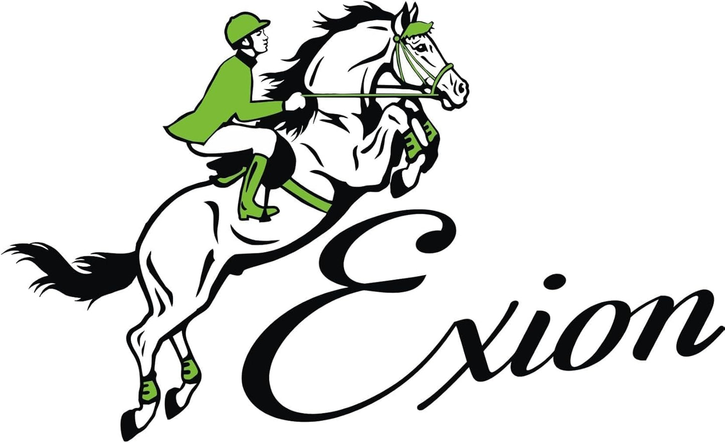 Exion Designer Anatomic Snap Over Lay Girth | Comfortable Leather Horse Girth for English Saddles | Jumping & Riding