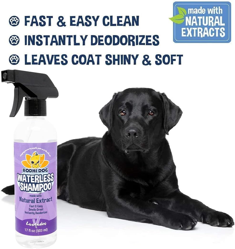 Bodhi Dog Waterless Shampoo - Natural Dry Shampoo for Dogs & Cats - Neutralizes Pet Odor - No Rinse Required - Made of Natural Extracts - Safe for Sensitive Skin - Made in USA - Lavender (17 Fl Oz)