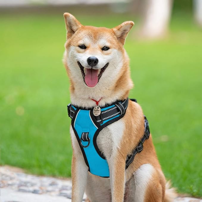 PoyPet No Pull Dog Harness, Reflective Comfortable Vest Harness with Front & Back 2 Leash Attachments and Easy Control Handle Adjustable Soft Padded Pet Vest for Small to Large Dogs (Blue,XS)