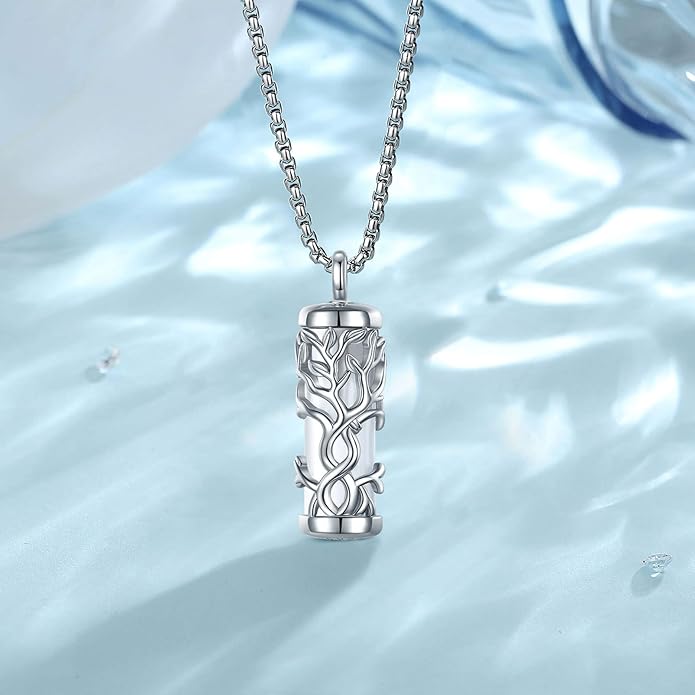 EUDORA Sterling Silver Urn Necklace for Ashes for Women Men, Ash Pendant for Human Cat Dog Ashes, Necklace for Ashes of Loved One Dad Mom Papa Pet Cremation Souvenir Jewelry for Funeral, 20inch