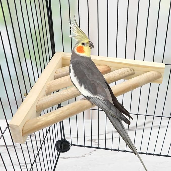 Litewoo Bird Perch Corner Platform Stand Shelf for Birds Budgie Parakeet Cockatiel Conure Cockatoo（Ladder）