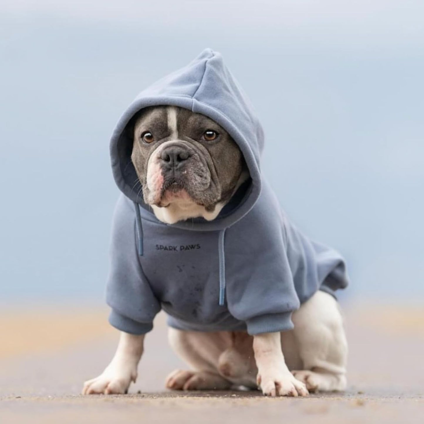 Spark Paws Dog Hoodie – Premium Dog Sweater for Small, Medium, and Large Dogs | Warm Outfits for French Bulldogs, Pitbull, Puppy, Winter Jacket Alternative - Slate Blue - 2XL