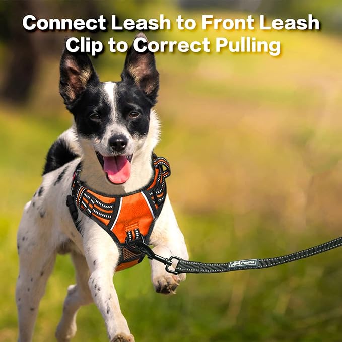 PoyPet No Pull Dog Harness, No Choke Front Clip Reflective Dog Vest with Soft Padded Vertical Handle, 3 Leash Attachments for Small Medium Large Dogs (Orange,M)
