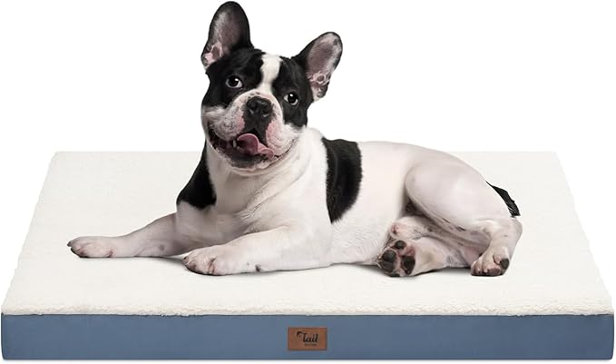 Medium Dog Bed for Medium/Small Dogs, Orthopedic Dog Beds with Removable Washable Waterproof Cover, Egg Crate Foam Pet Bed Mat, Blue White